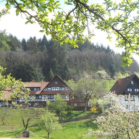 Ferienhof Fischer Seebach Bagian luar foto