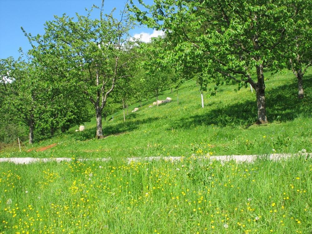 Ferienhof Fischer Seebach Bagian luar foto
