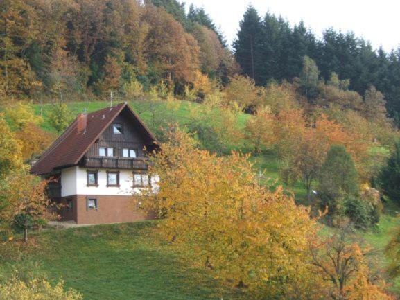 Ferienhof Fischer Seebach Bagian luar foto
